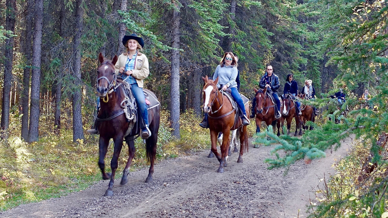 Horseback riding beginner fashion check! Clothes horses dislike