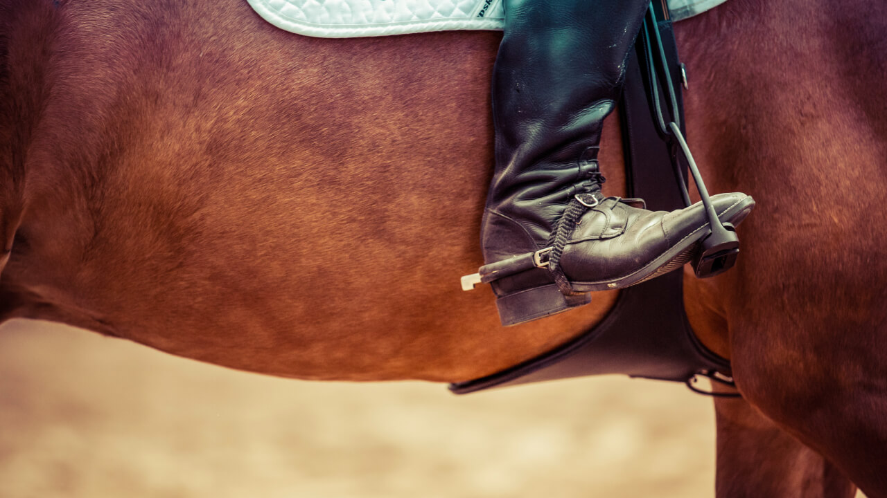 How to Improve Your Trotting Technique as a Beginner Rider: Common Issues and Solutions