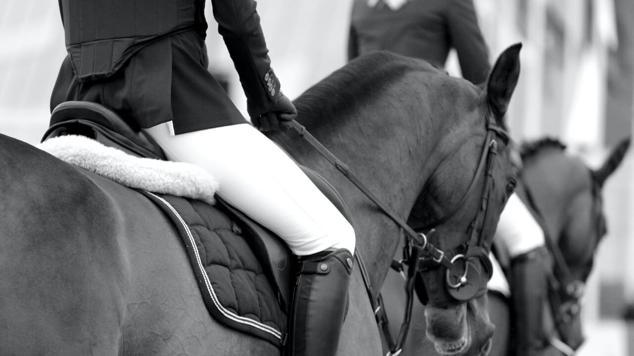 Why Do Horse Riding Pants Look Different? The Surprising Origin of Overalls and Jodhpurs