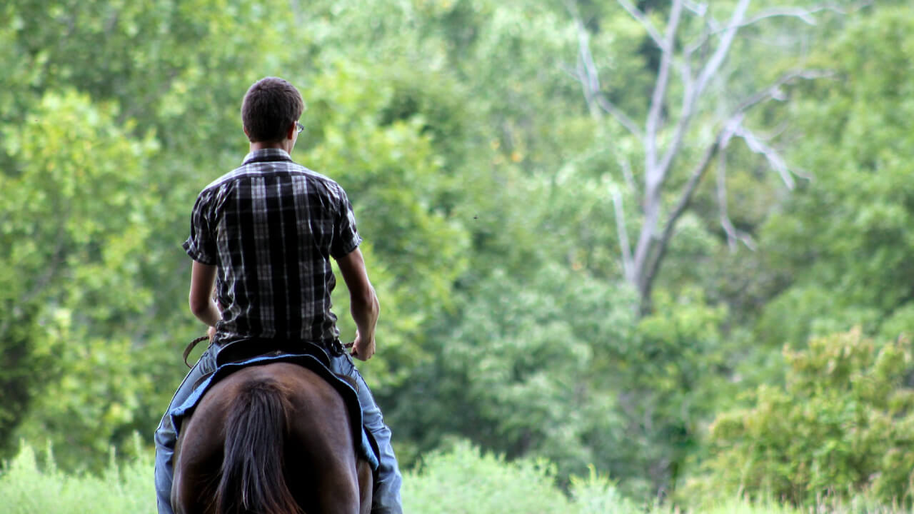 Elegant horse riding scene, but lower back muscle ache after getting off