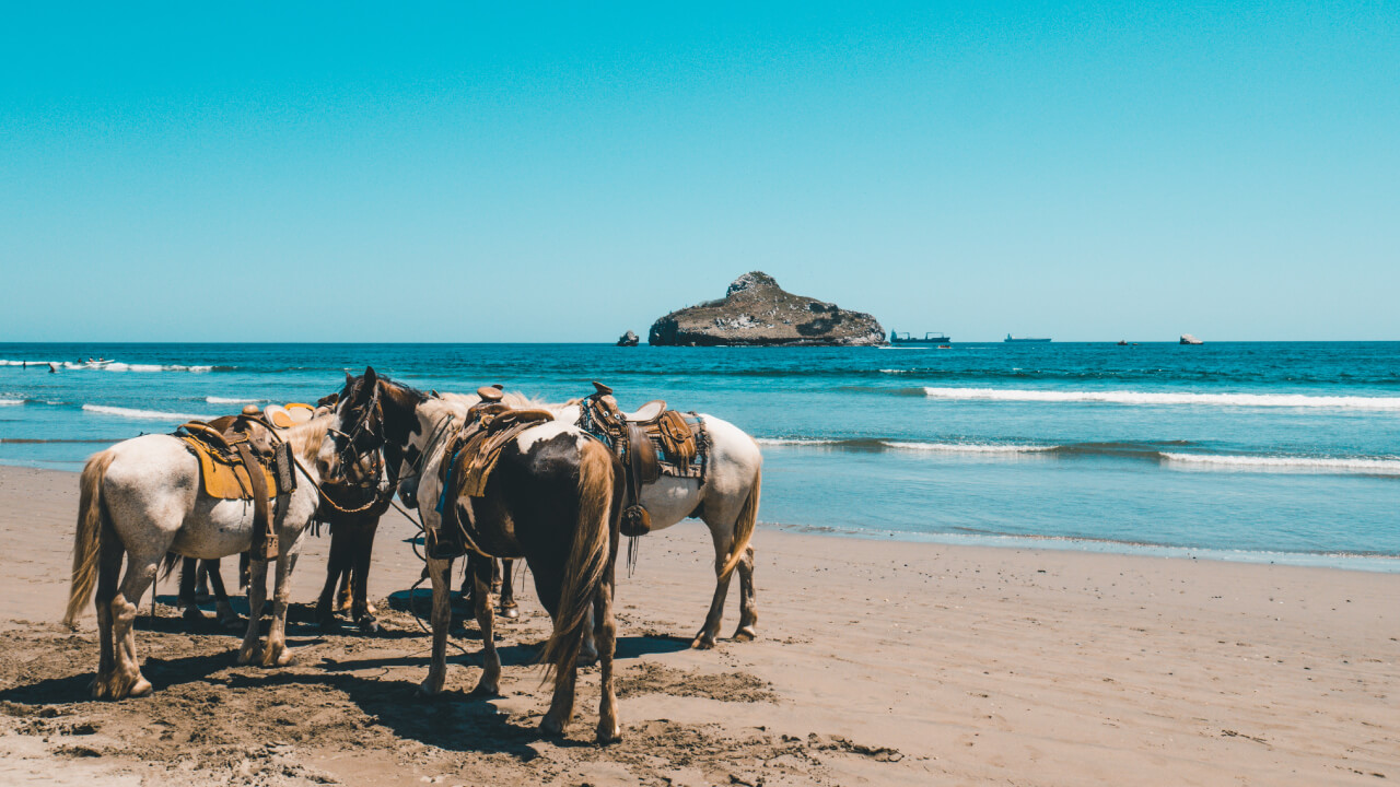 What Is the Recommended Clothing for Horseback Riding? 4 Key Tips for Choosing the Right Outfit [Beginner