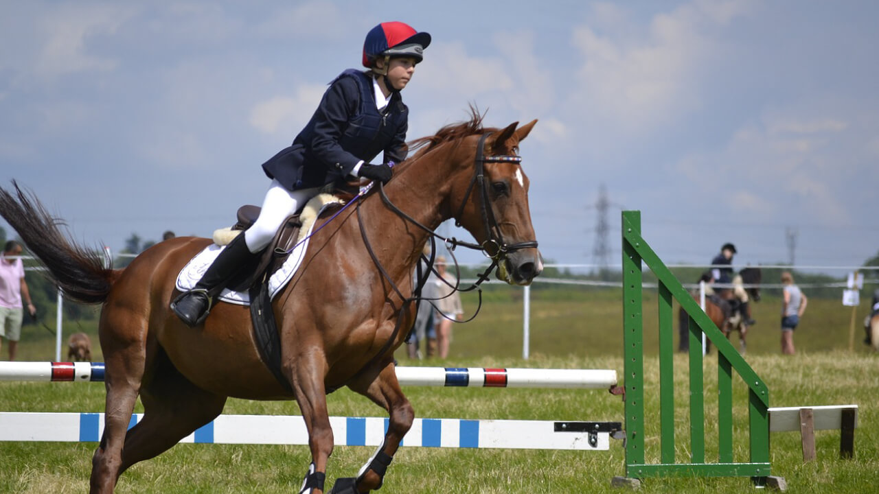 Elegant horse riding scene, but lower back muscle ache after getting off