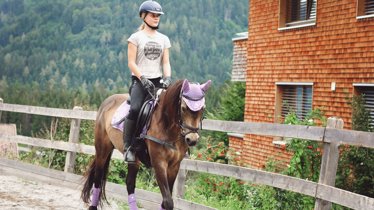 How to Improve Your Trotting Technique as a Beginner Rider: Common Issues and Solutions