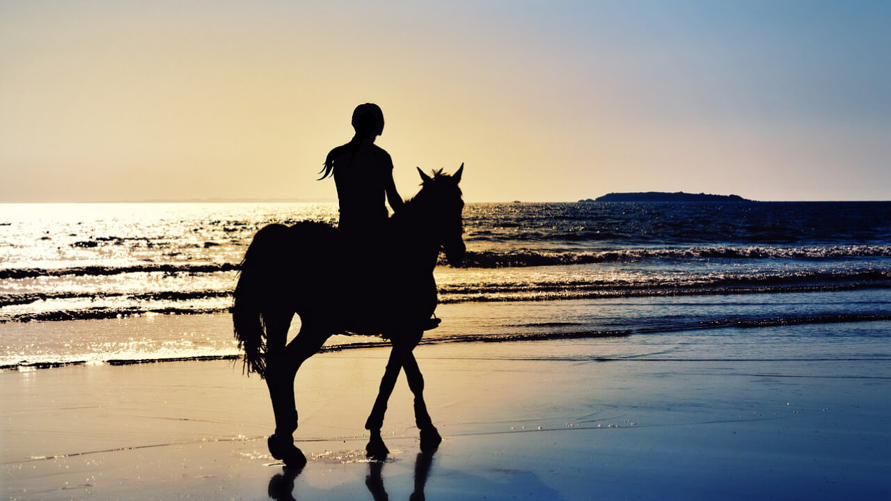 【Important! Walk (Namiashi)】The easiest gait for beginners appears to be the most important!