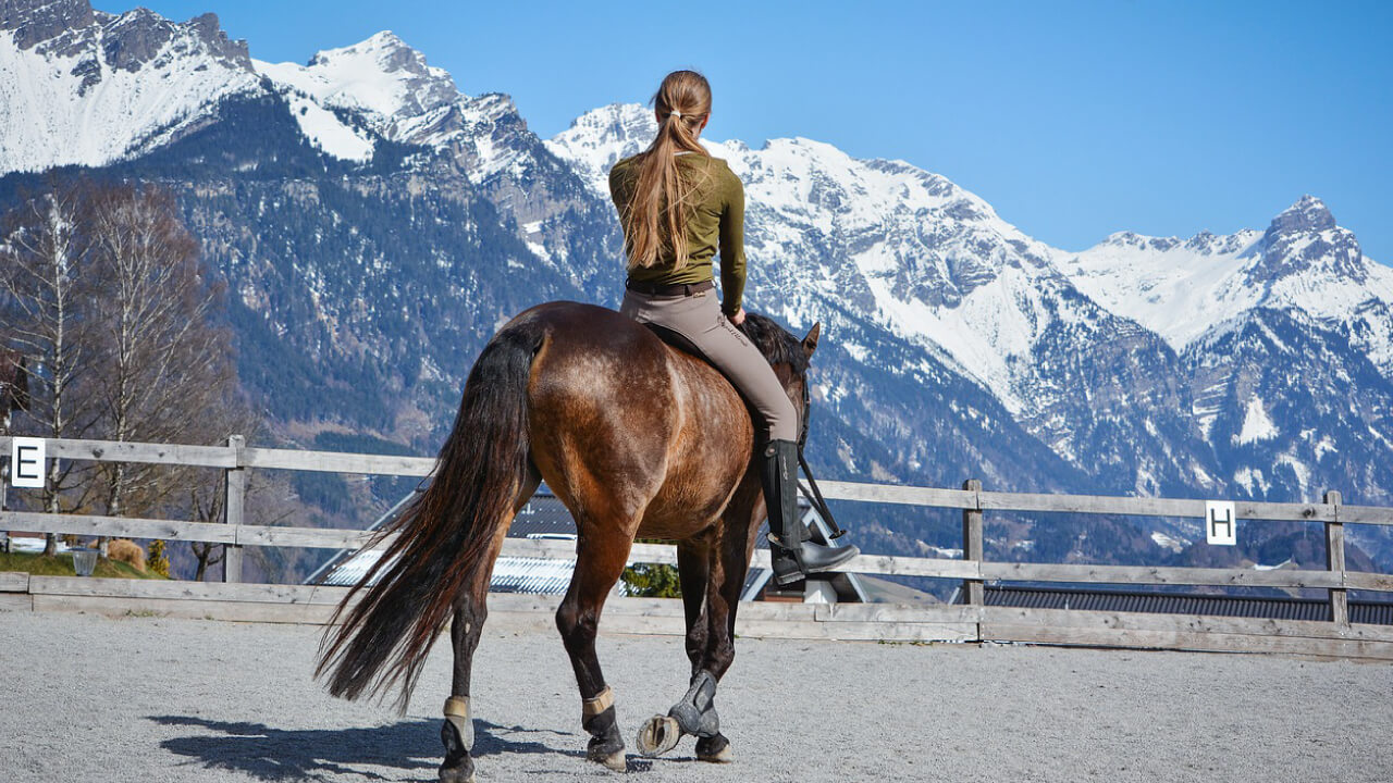 The Secret of Horse Tails: Structure, Meaning, and Hidden Facts