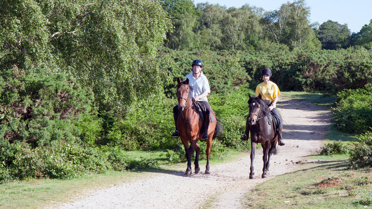 Explore horseback riding at tourist farms, even if just a little!