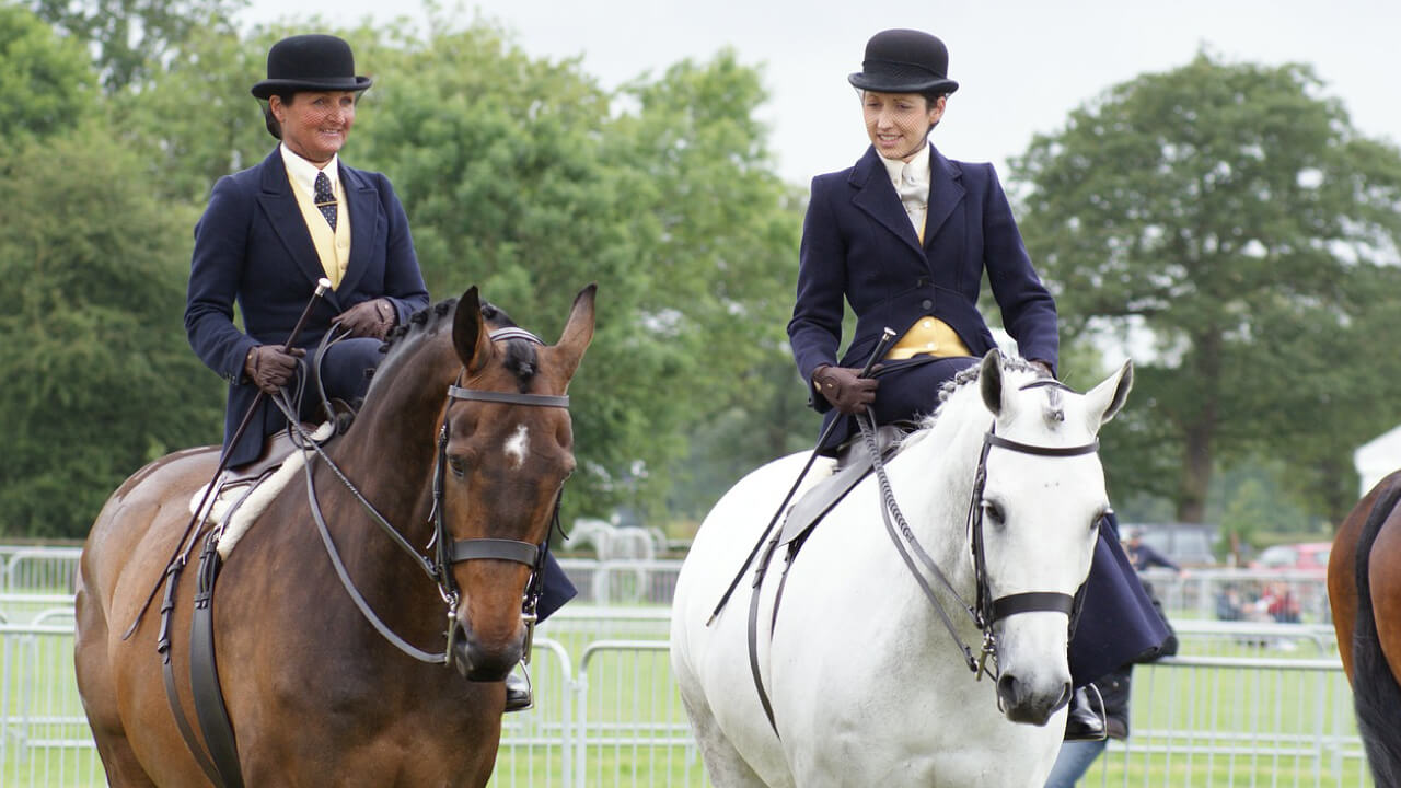 I want to say my hobby is horseback riding. But actually, it