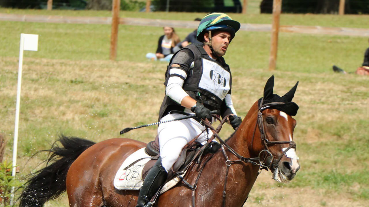 How to choose a horseback riding club