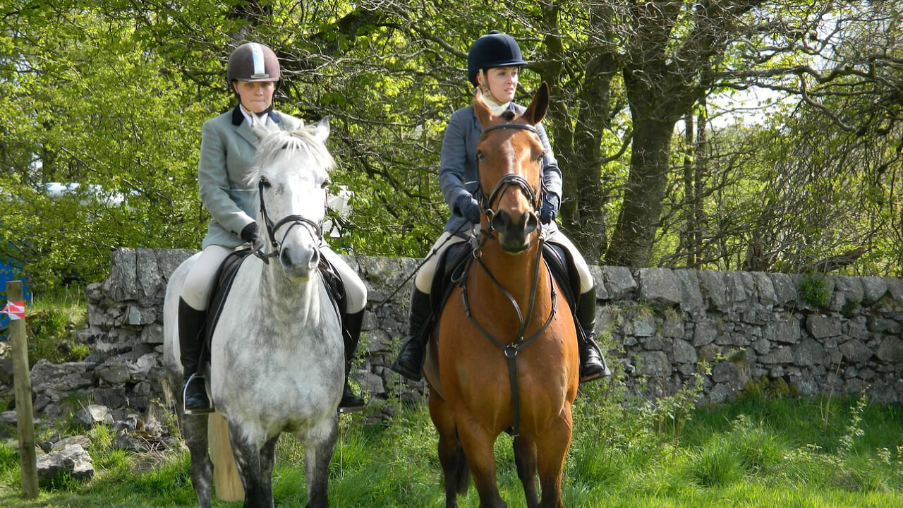 What You Can Do with Horse Riding License Grade 3