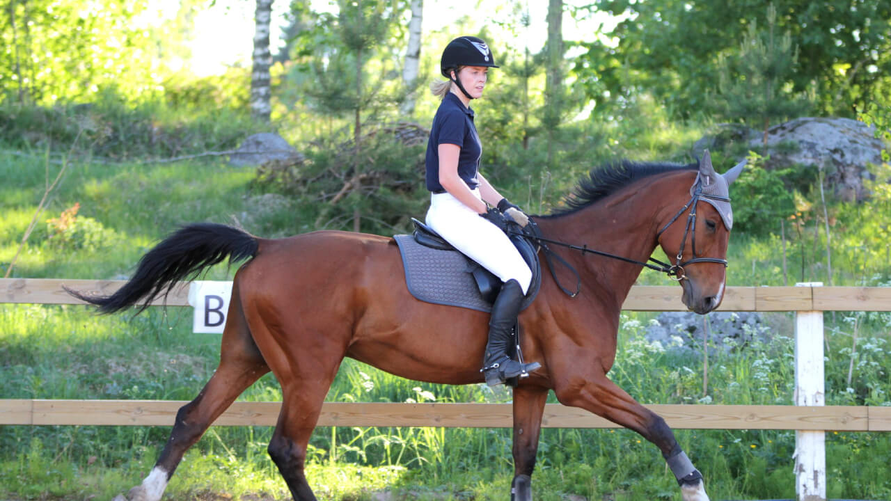 Basic Horse Riding: Tips for Beginners to Master Proper Posture and Movement