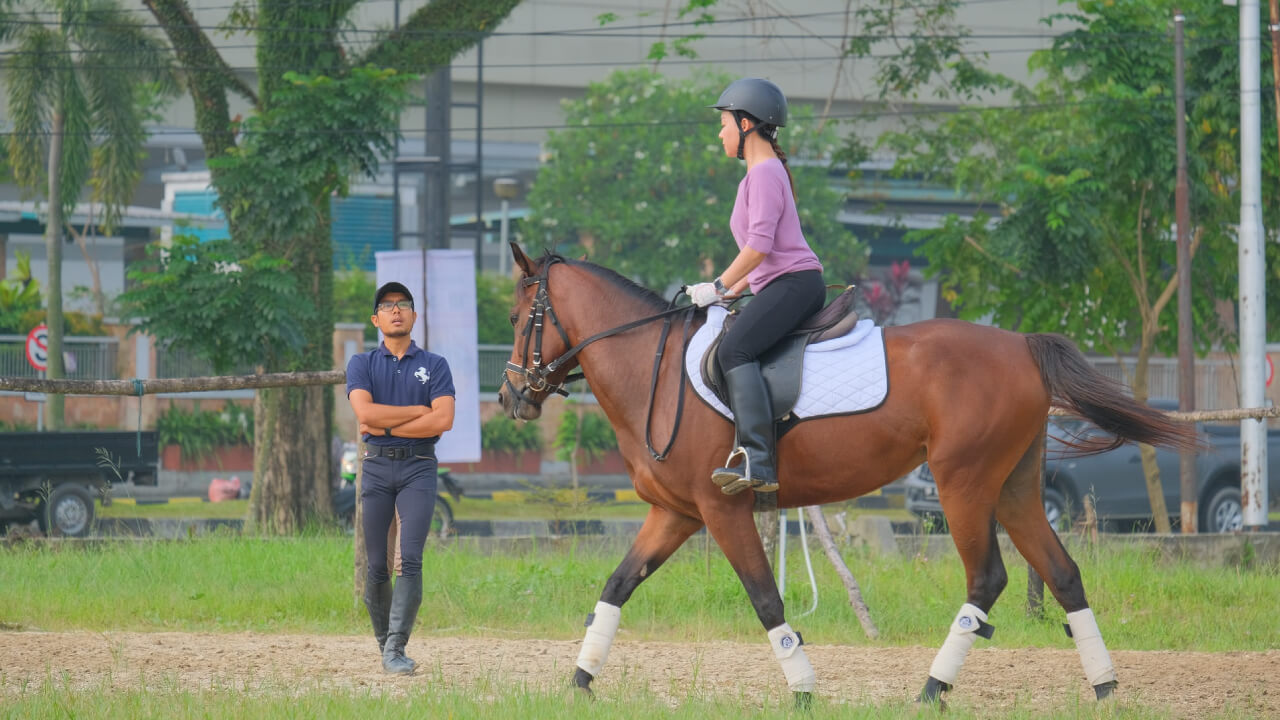Basic Horse Riding: Tips for Beginners to Master Proper Posture and Movement