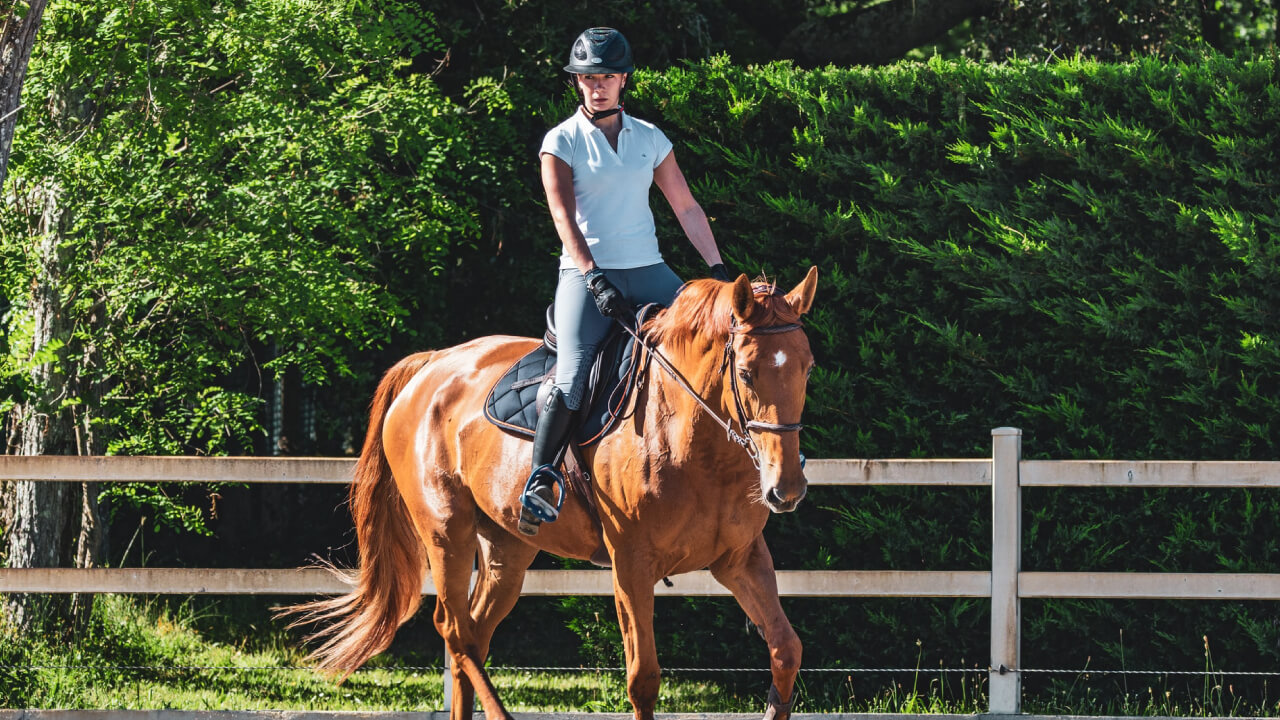 Horseback riding beginner fashion check! Clothes horses dislike