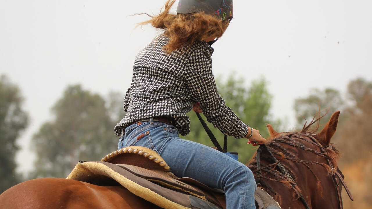 Mastering Horse Focus: Essential Tips to Ensure Safe and Effective Riding