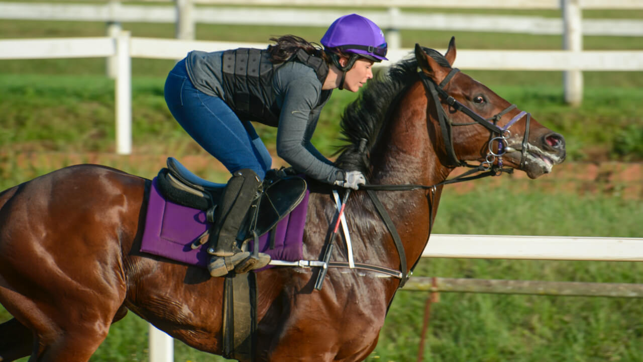 Horseback riding for weight loss: calories calculation inside!