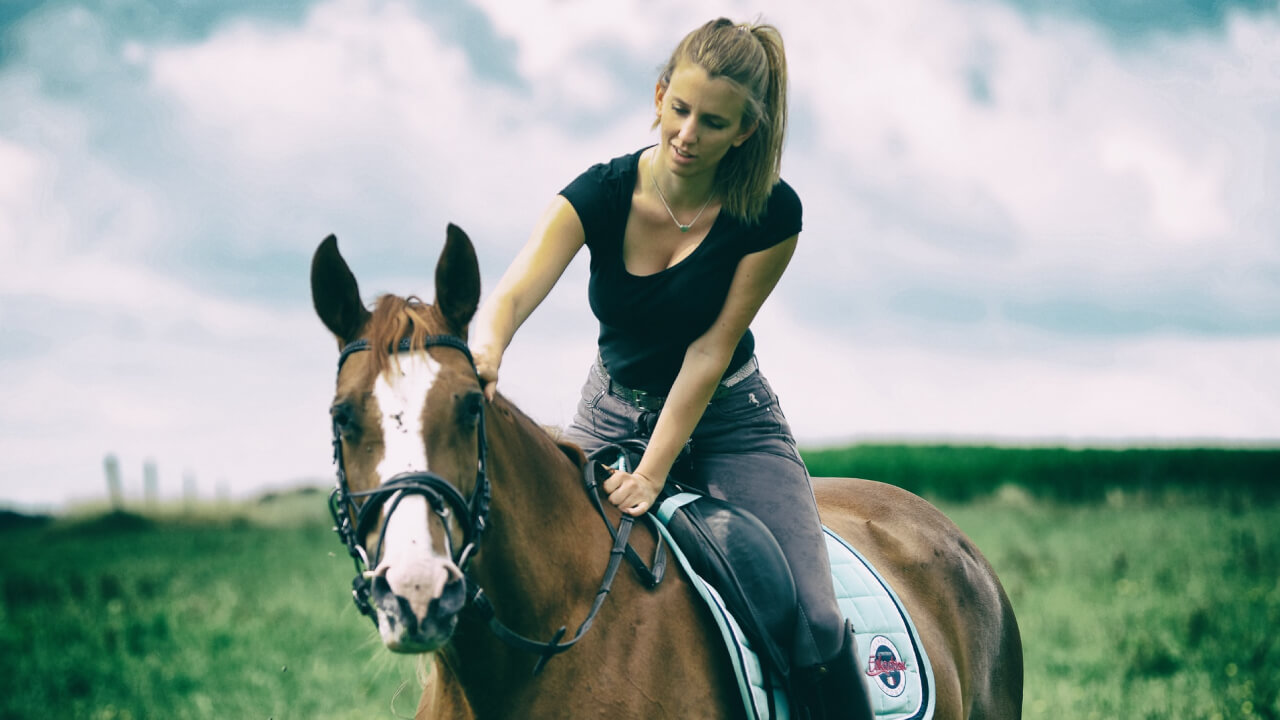 Why Horses Roll on the Ground: Reasons and Safety Tips