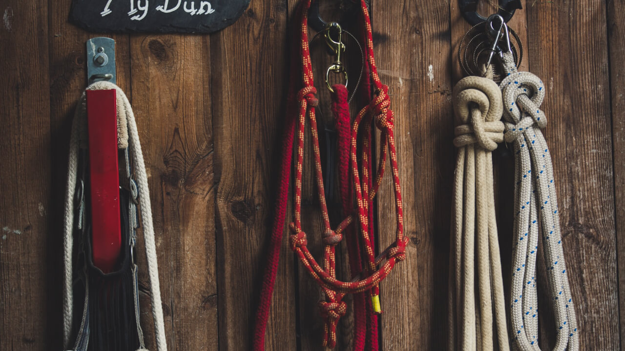 Cost breakdown for kids’ horseback riding lessons