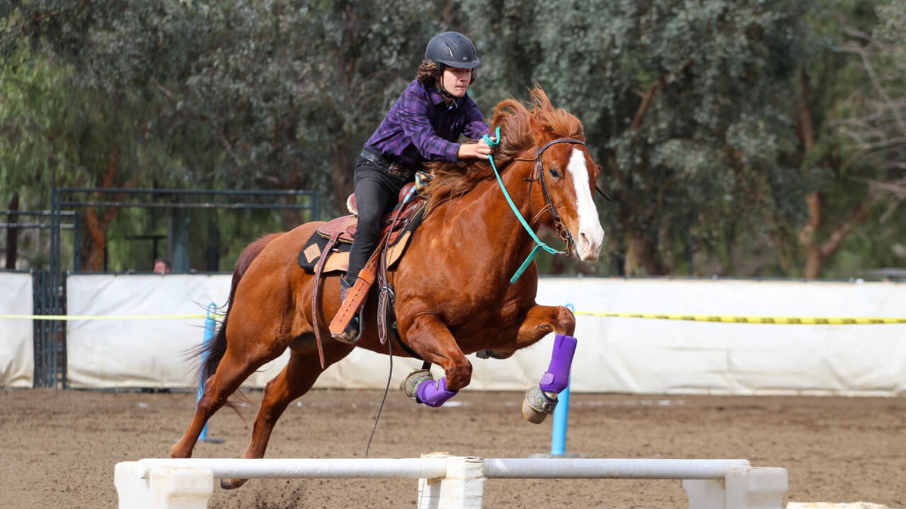 How to Choose Protective Gear to Keep Your Horse Safe
