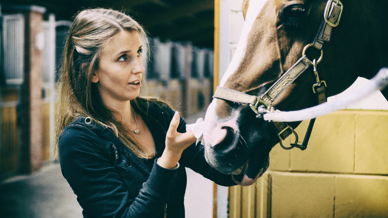 Understanding Equine Colic