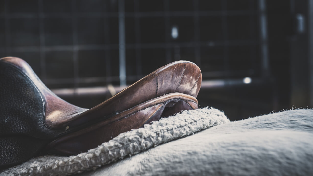 The Connection Between Hermes and Horses