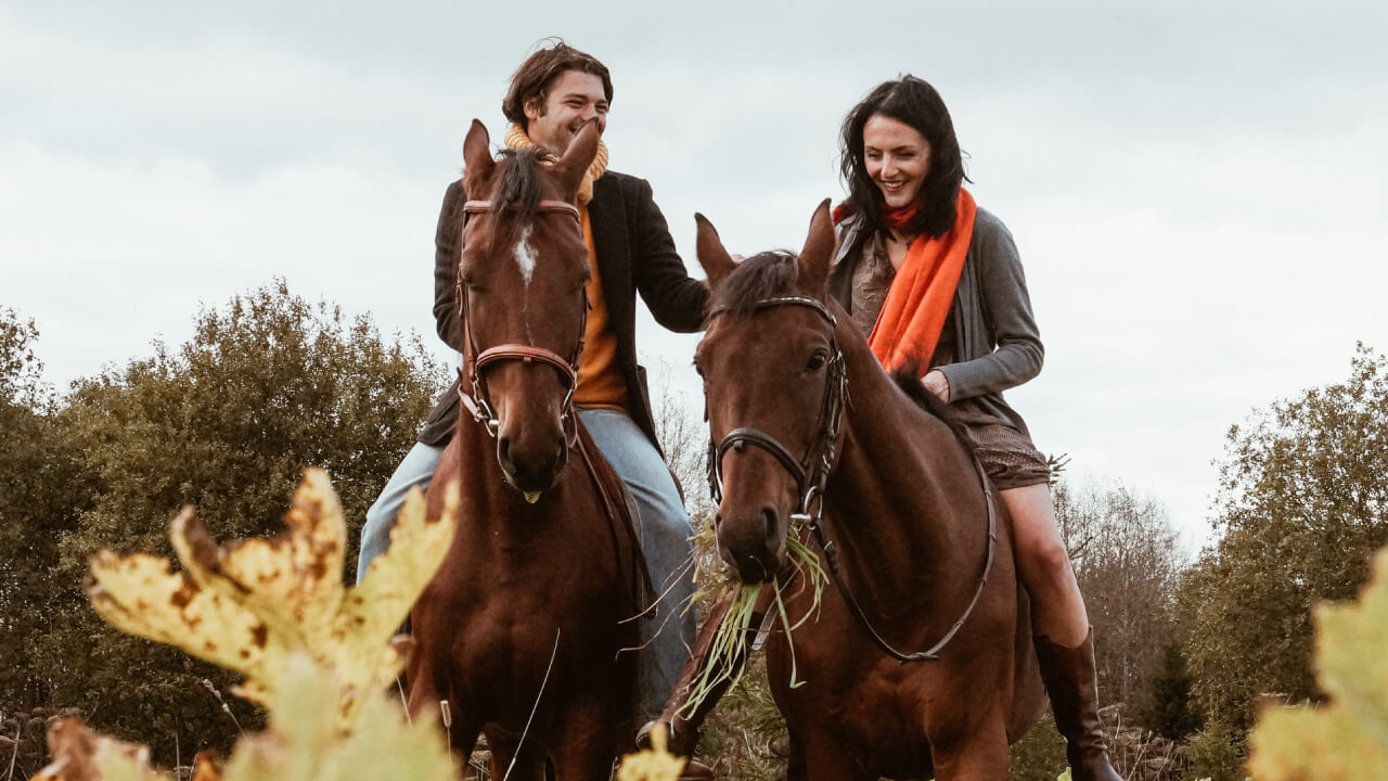 Advantages and Exam Details of Horseback Riding License Level 5