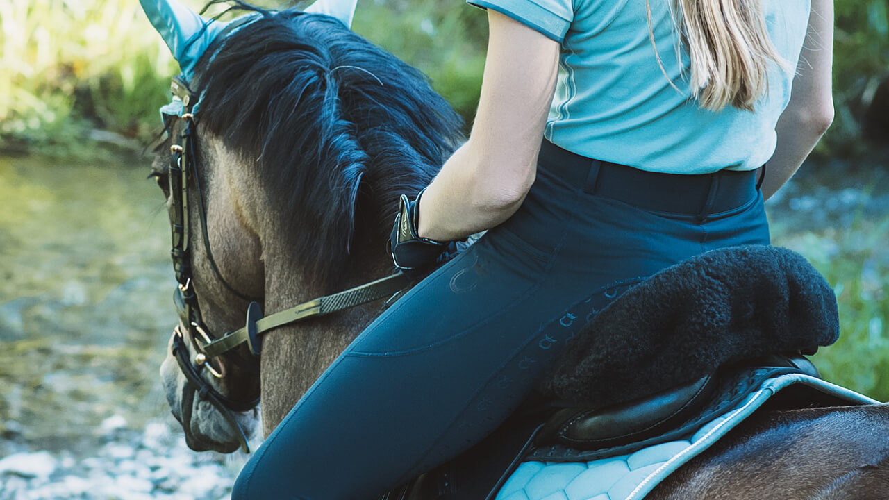 Elegant horse riding scene, but lower back muscle ache after getting off