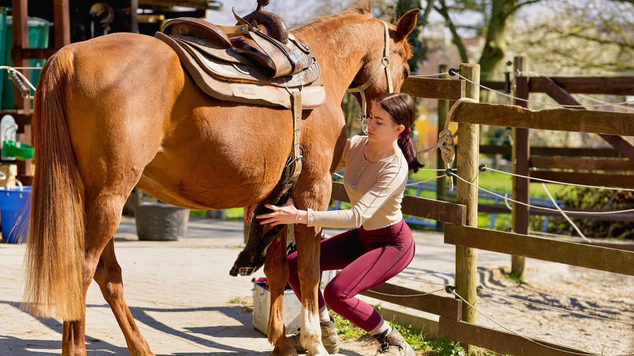 Why do people wear socks over culottes when riding?