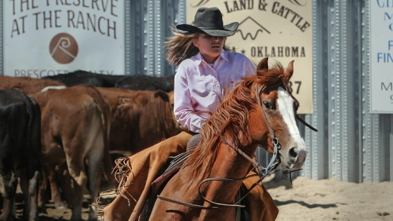 Western horsemanship born from cowboy riding