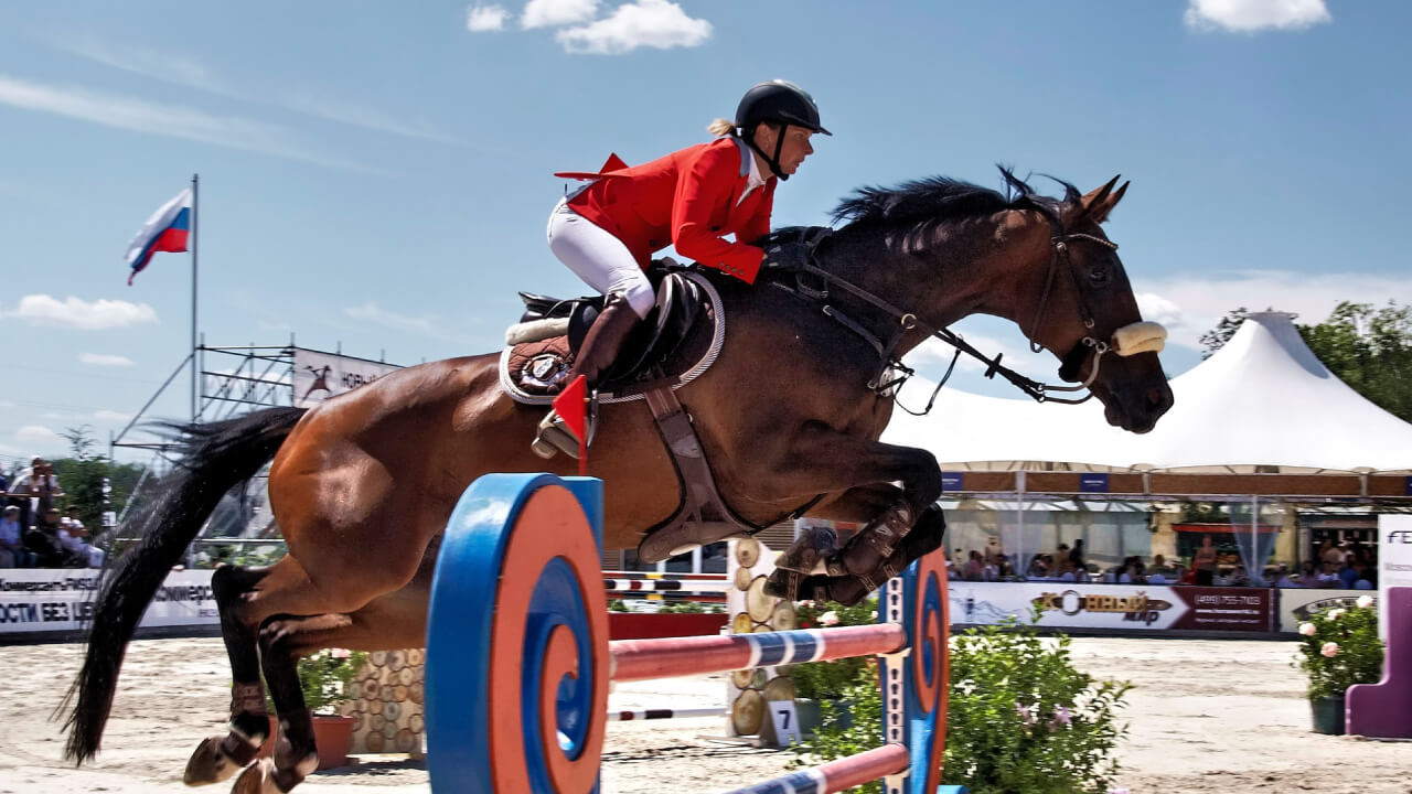 Japan Equestrian Team Tokyo 2020