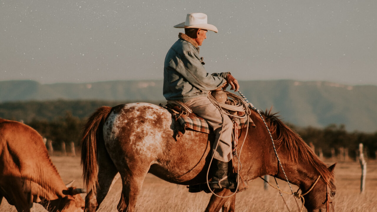 Western horsemanship born from cowboy riding