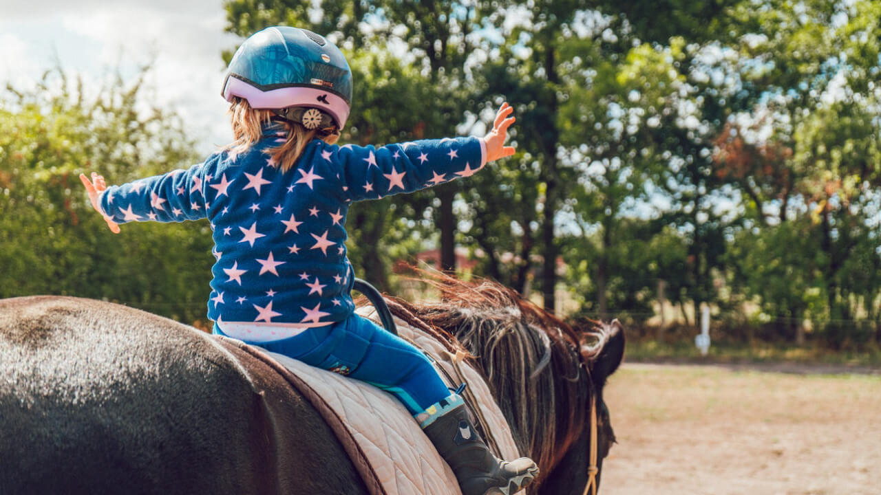 Elegant horse riding scene, but lower back muscle ache after getting off