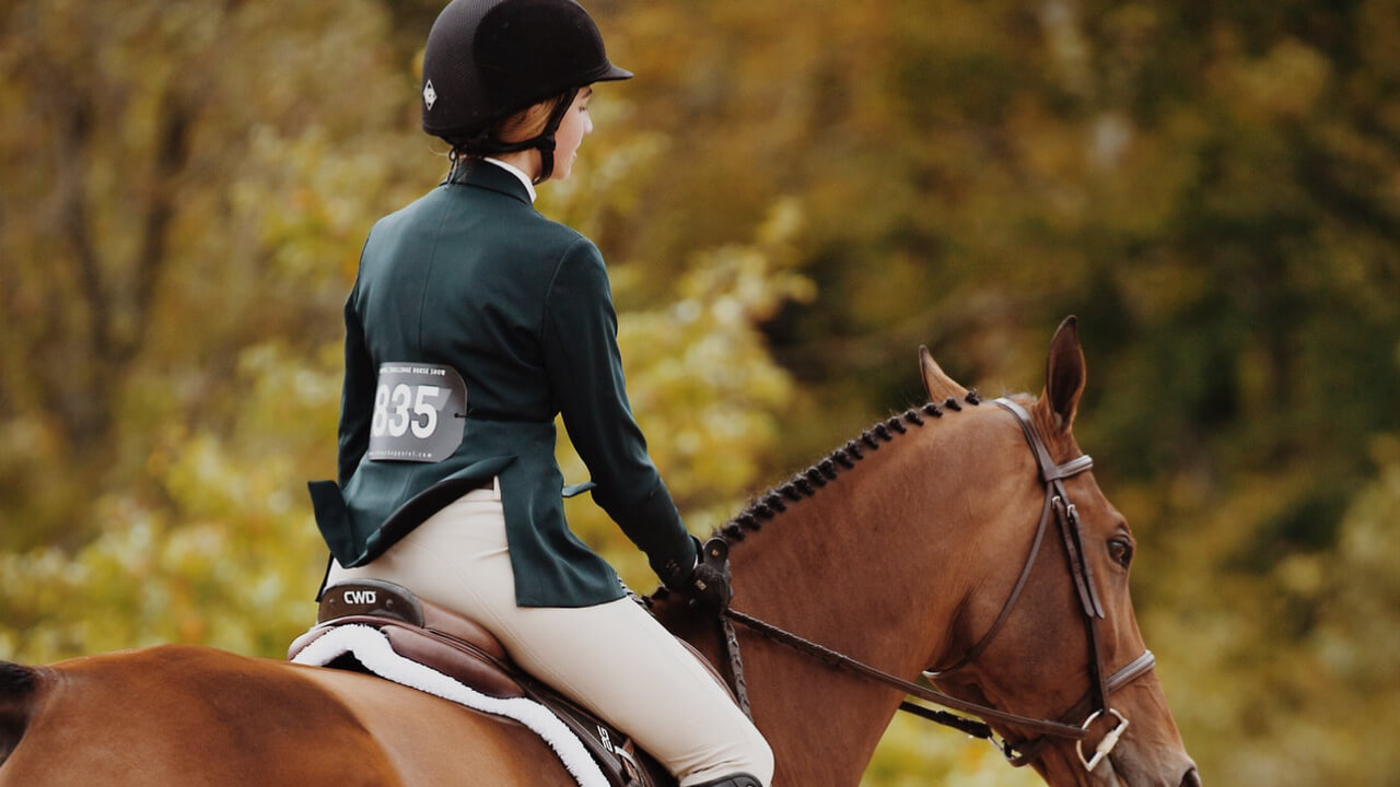 Understanding the Riding Seat to Improve Your Horseback Riding Skills