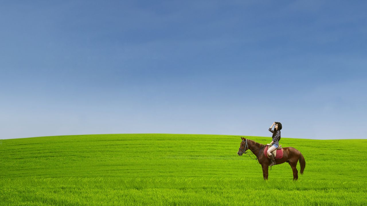 Reasons Why Horseback Riding Is an Ideal Hobby After Retirement