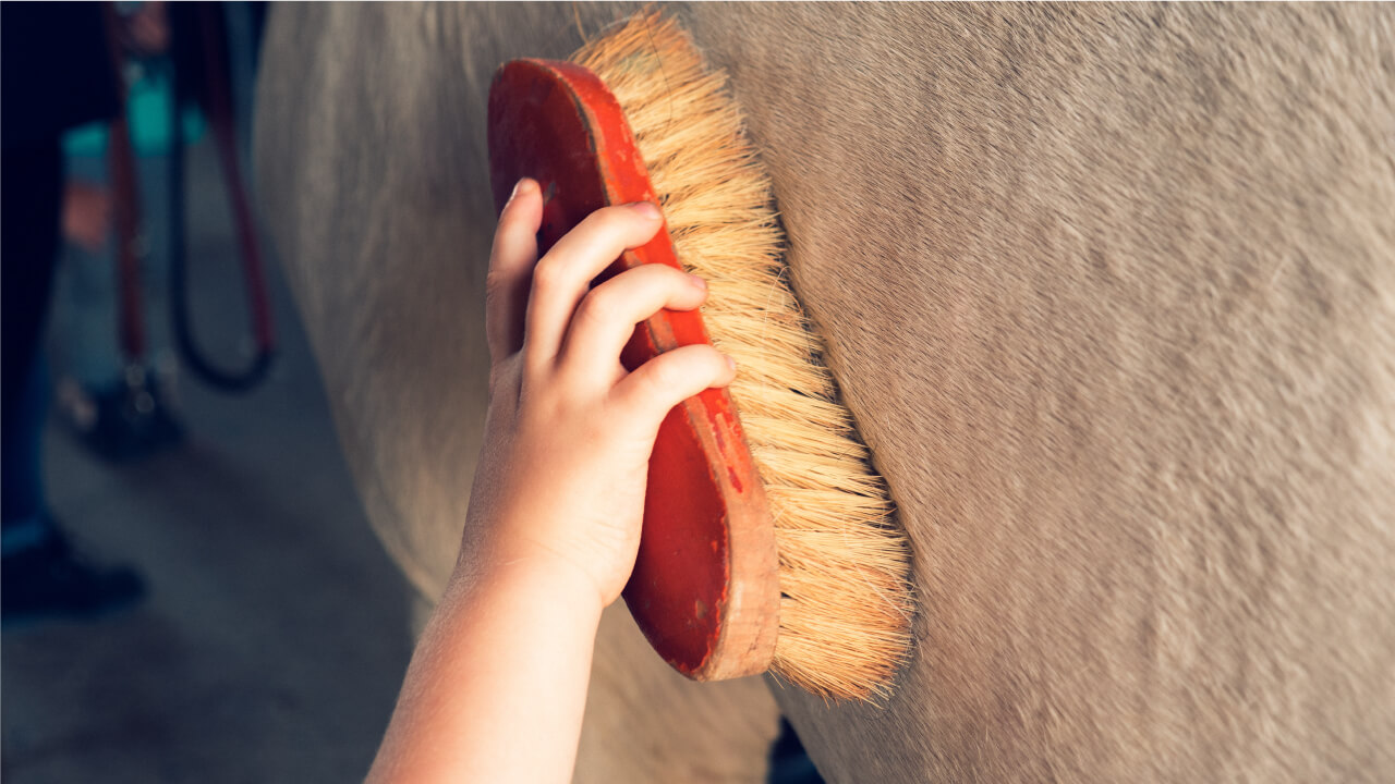 Horseback riding for weight loss: calories calculation inside!