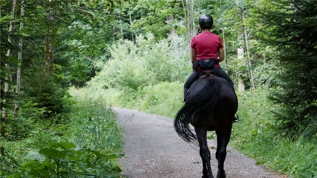 【Important! Walk (Namiashi)】The easiest gait for beginners appears to be the most important!