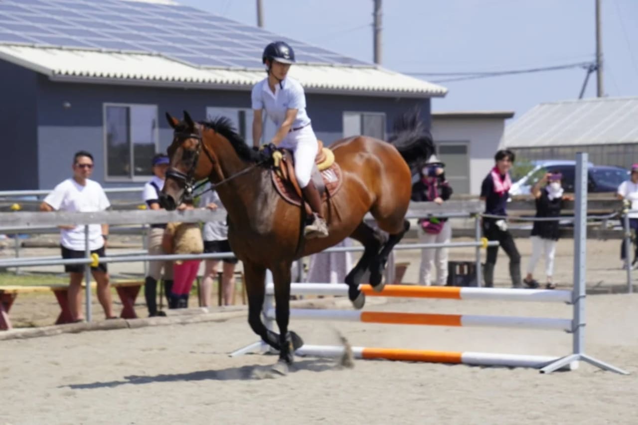 What Are Equestrian Competitions