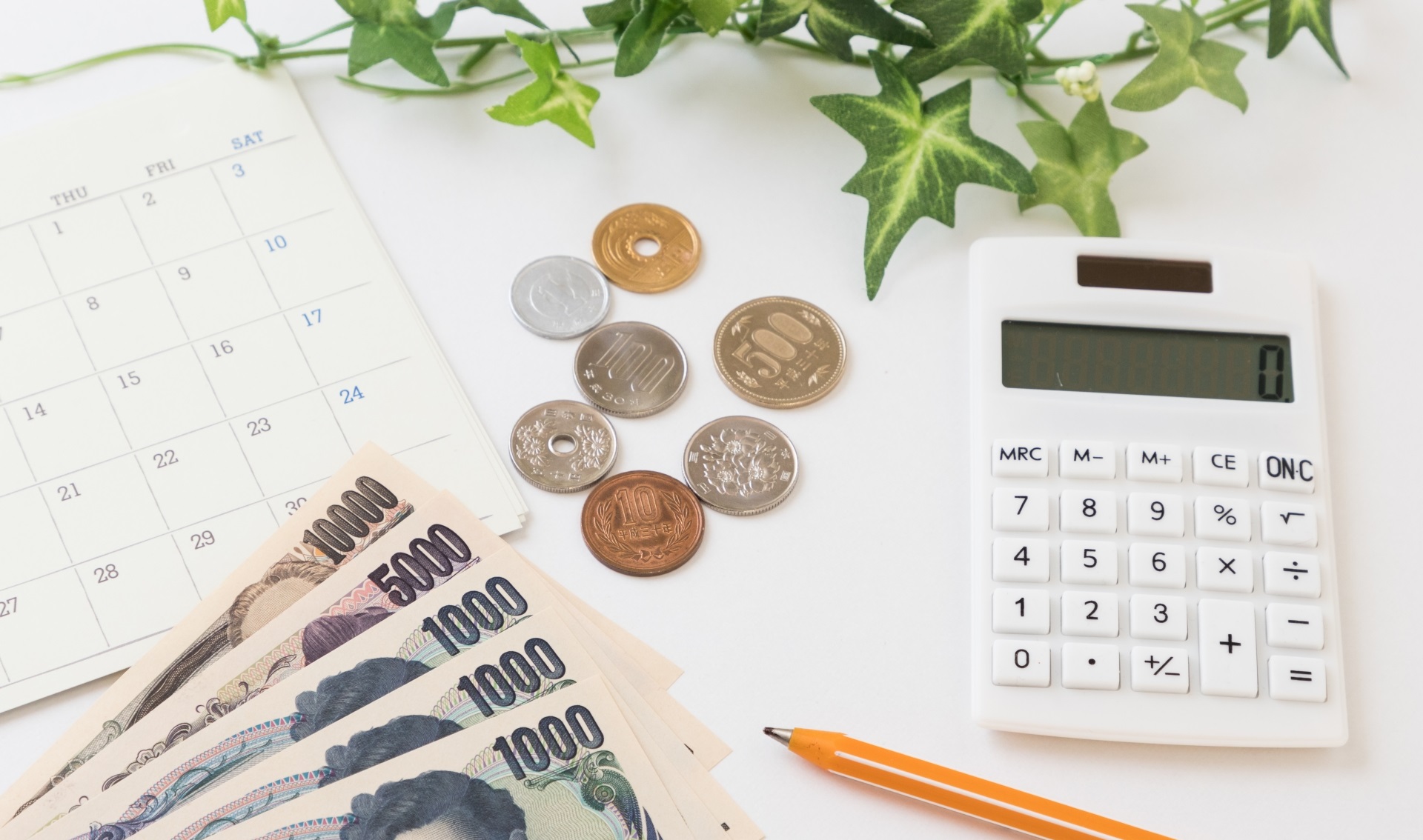 Time and Cost for Horse Riding License Grade 3