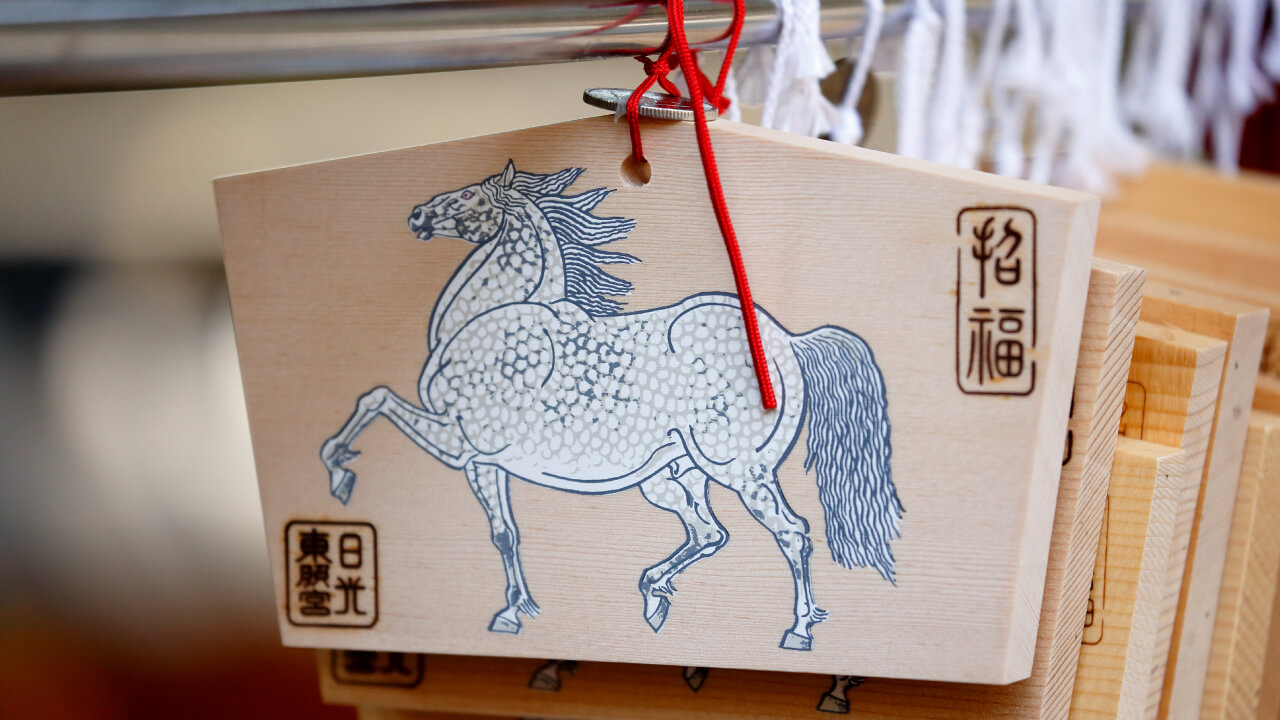 Preparation for Level 5 Horseback Riding License Written Test