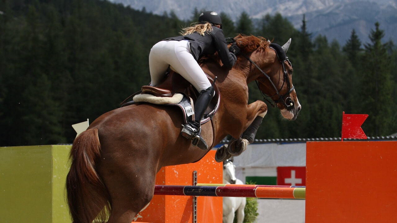 What Are Equestrian Competitions