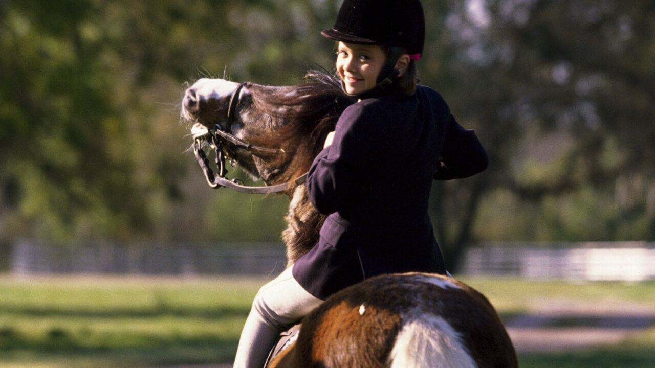 Accessible horseback riding experiences at riding clubs and tourist farms