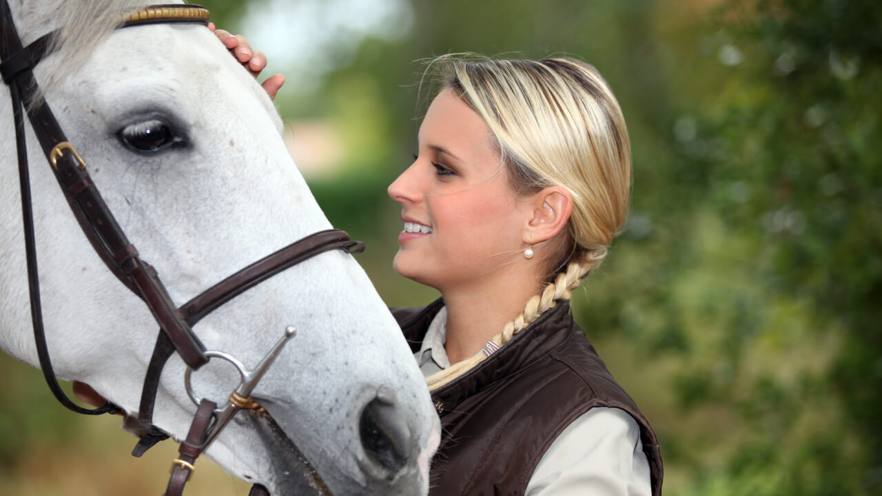 Essential tips for horse respect and communication