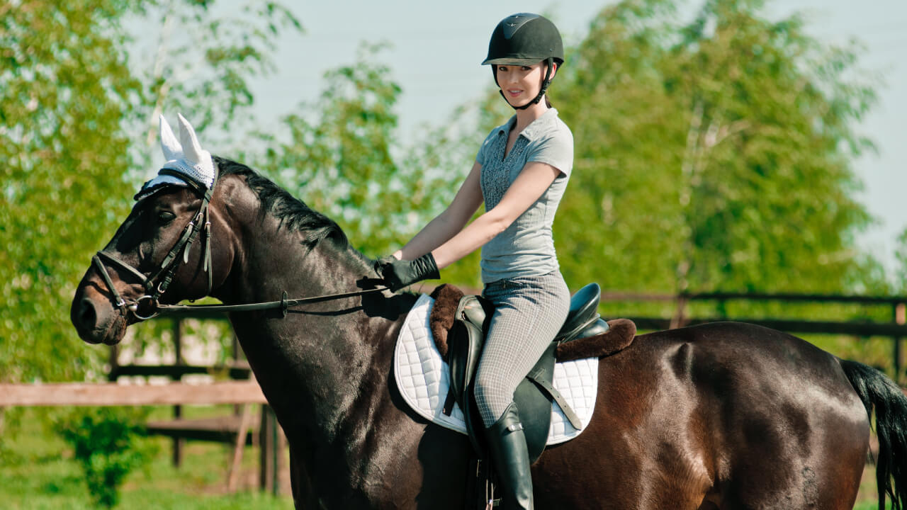 Overview of Level 5 Horseback Riding License Exam