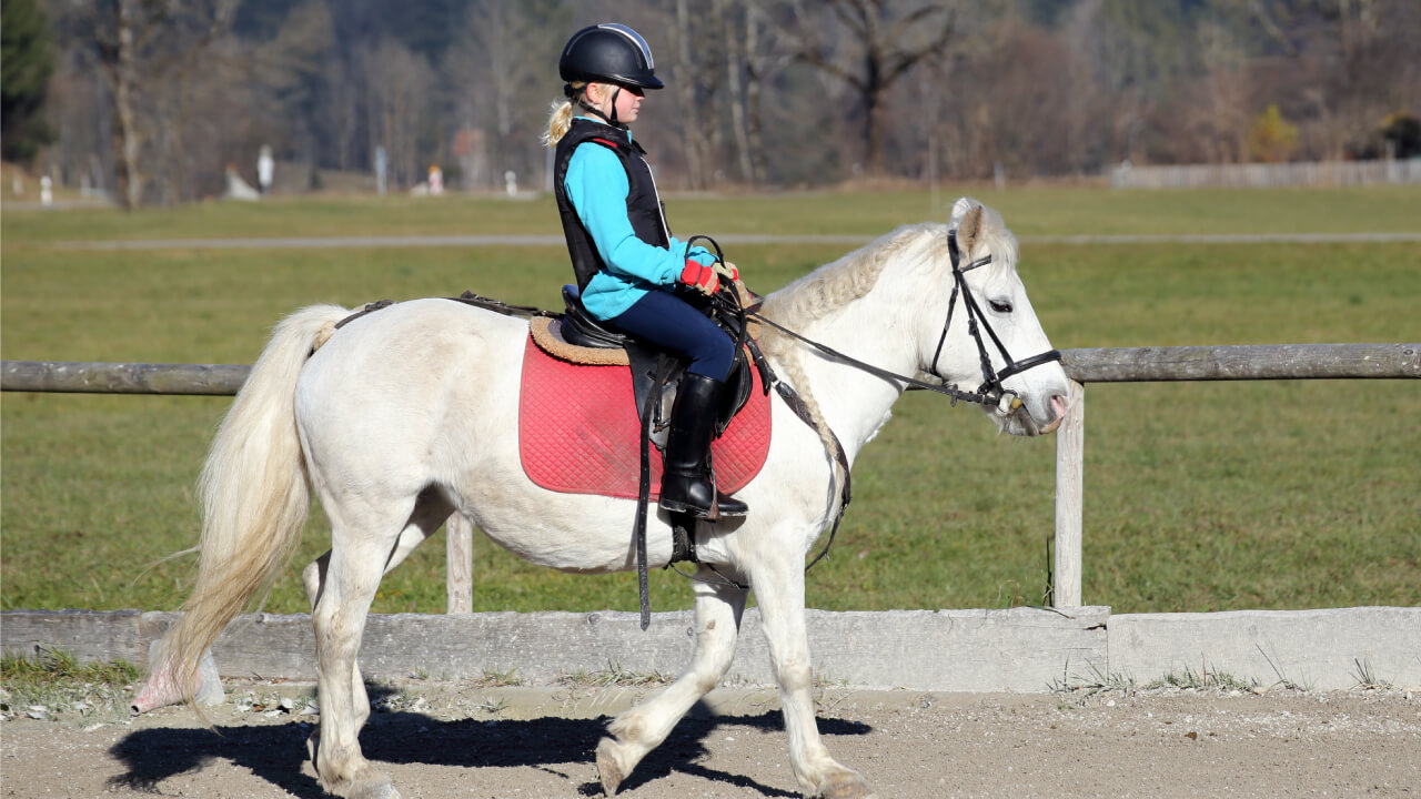 How common are horse falls in reality?