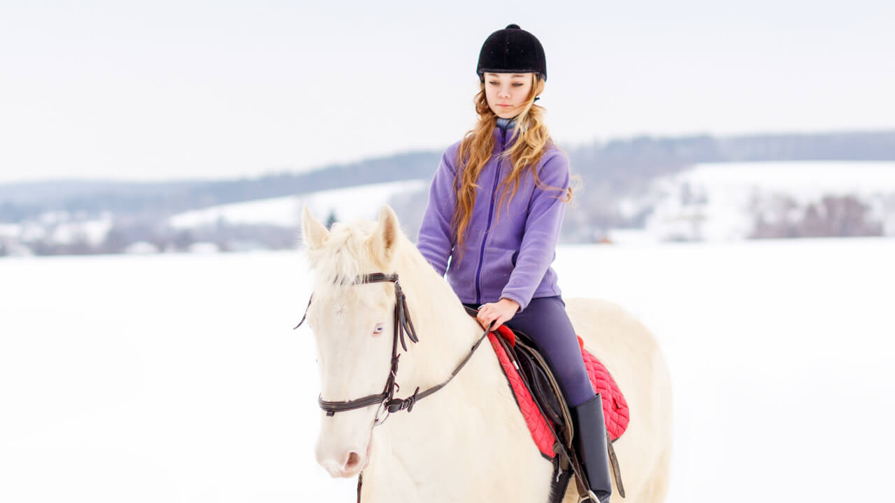 Winter Horse Care: Effective Cold Weather Horsekeeping Strategies
