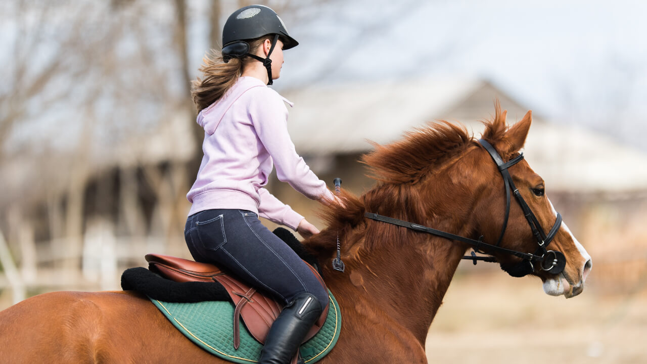 Is riding a horse after drinking alcohol considered drunk driving?