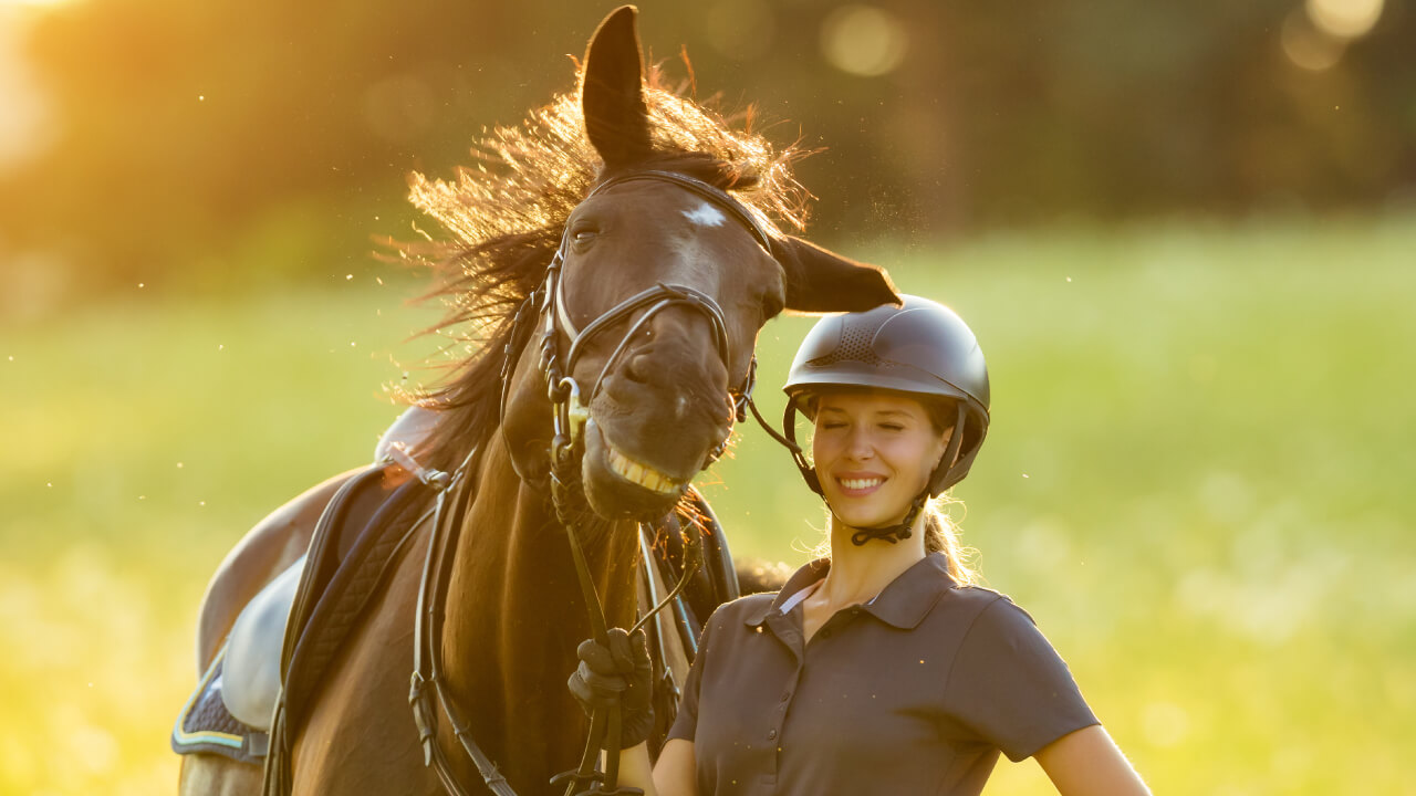 Dreaming of Owning Your Own Horse