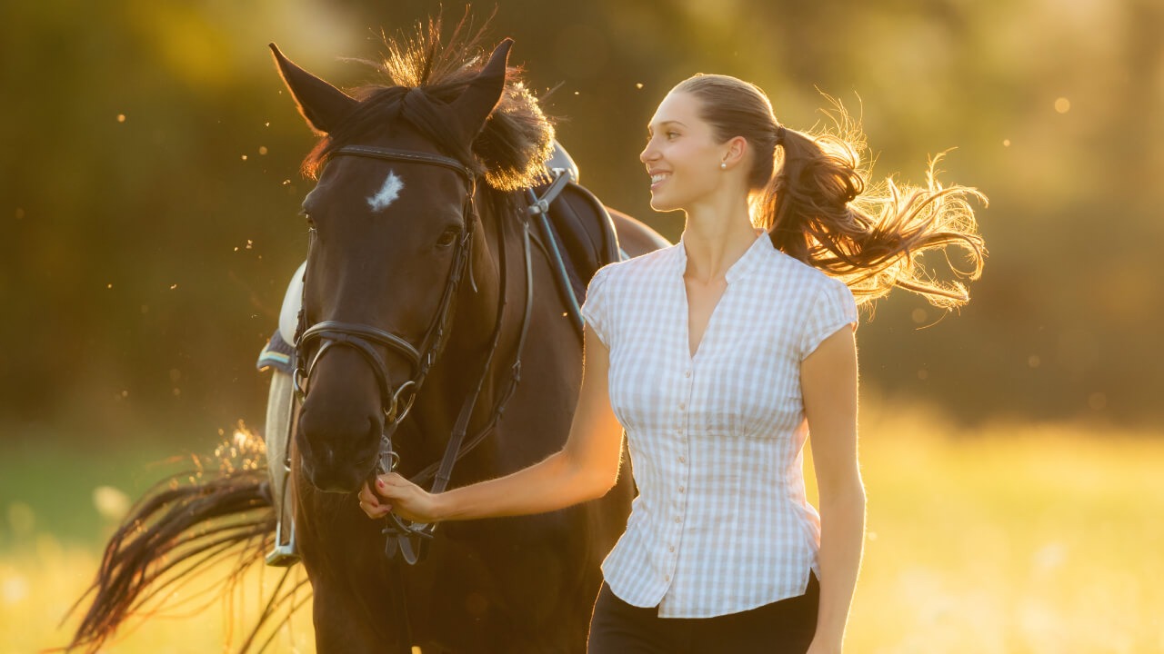 Can horseback riding truly heal? A guide for beginners!