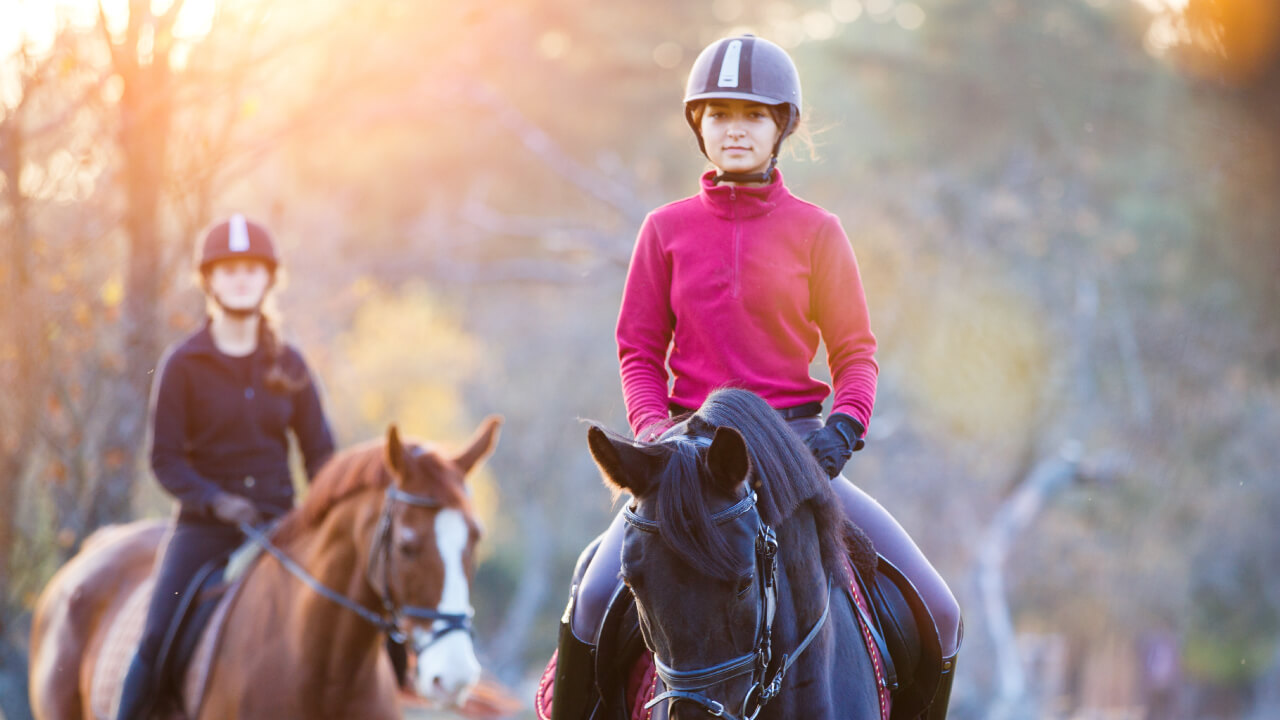Overview of Horse Riding License Grade 3 Exam
