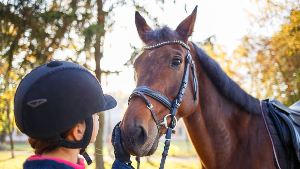 Practicing Practical Horseback Riding Test