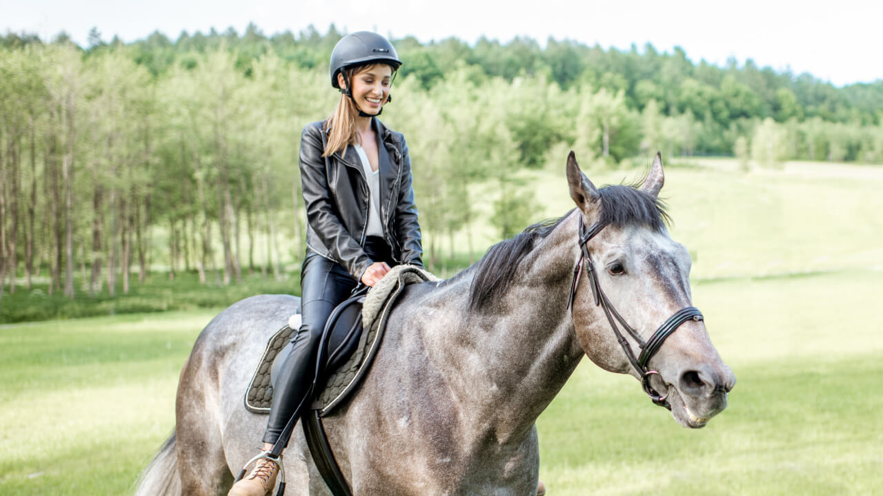 Worries for larger individuals: Can heavier people ride horses?