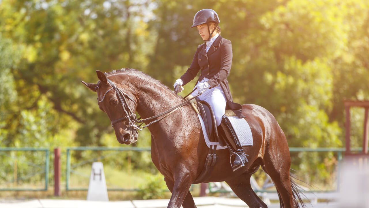 Why matching leads matter in horseback riding
